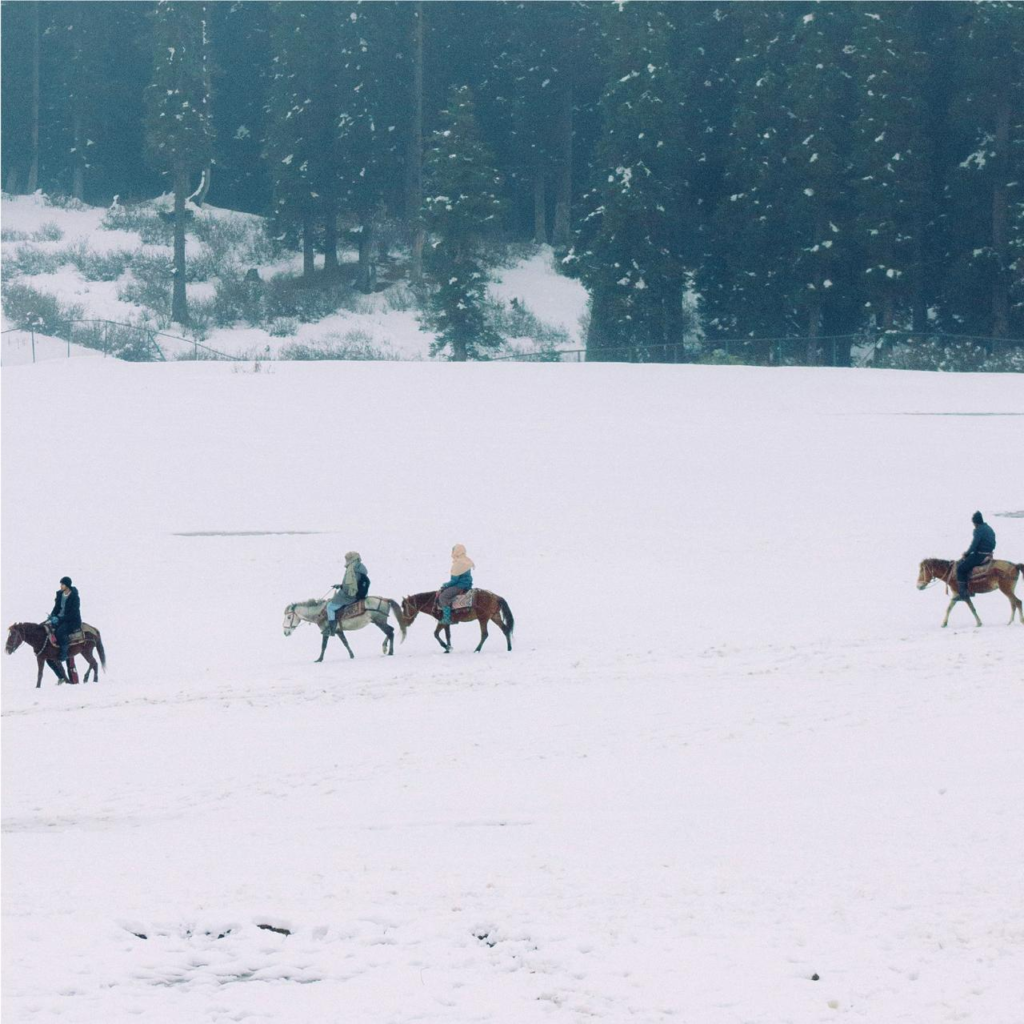 Катание на лошадях – тур к Мжавской воде
