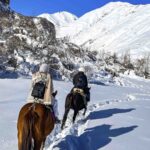 Катание на лошадях – тур к Мжавской воде - Gallery 1